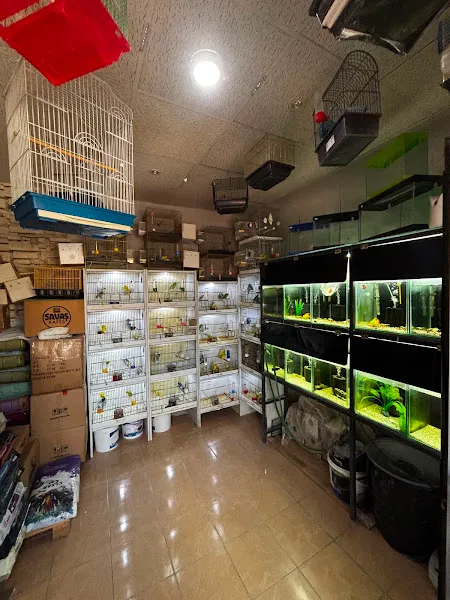 Molina Petshop ve Gurme Pet Mama foto 2