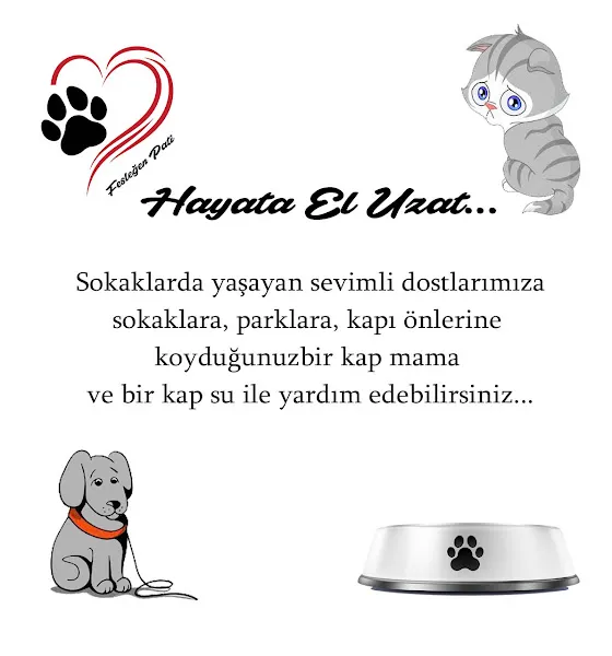 Fesleğen Pati Derneği foto 2