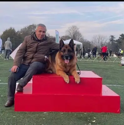 çinçin dog acedemy
