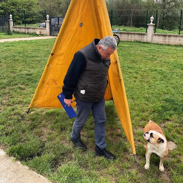 çinçin dog acedemy foto 2
