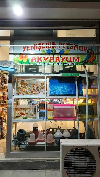 YENİŞEHİR PETSHOP VE AKVARYUM foto 1