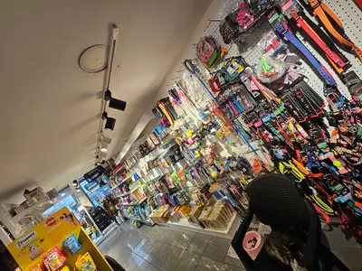 Barny Pet Market