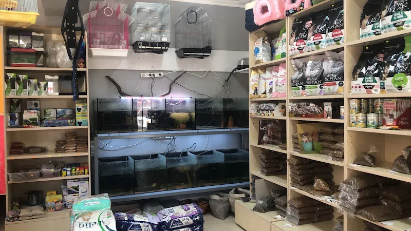 DENİZ PETSHOP foto 2