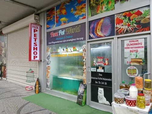 Hadımköy Feza Petshop Akvaryum & Balık Olta , Av Bayii foto 1