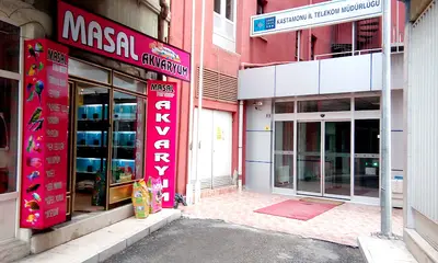 Masal Petshop ve Akvaryum