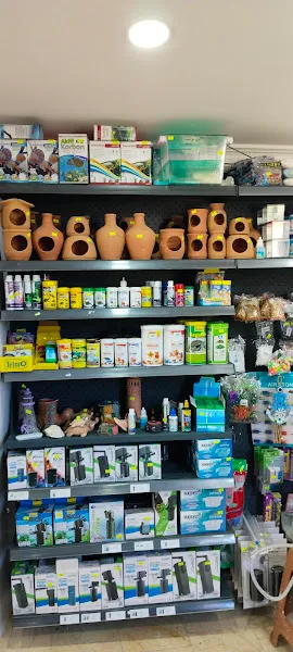 AKKUŞ PETSHOP AKVARYUM foto 2