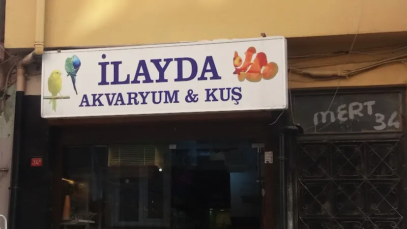 İlayda Akvaryum & Kuş foto 1