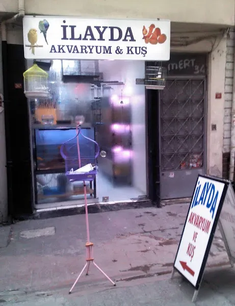 İlayda Akvaryum & Kuş foto 2