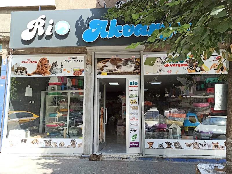 Rio Petshop foto 1
