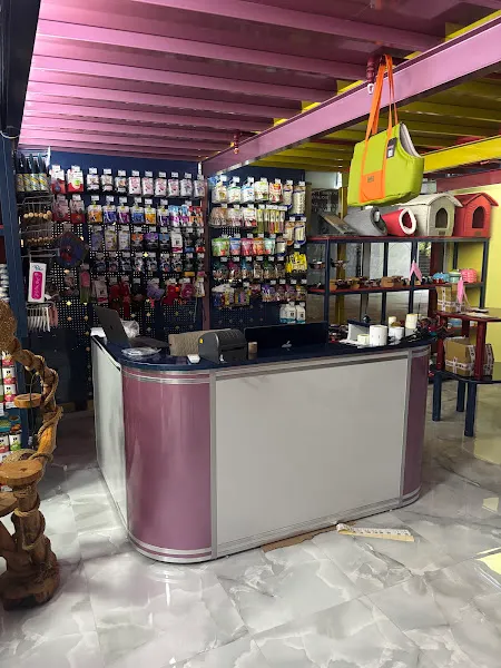 Kittens & Puppies Petstore- Petshop foto 2