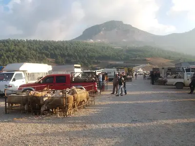 Gürsu Hayvan Pazarı