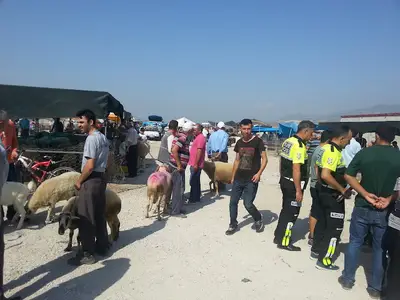Sarayköy Hayvan Pazarı