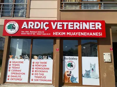 Usta Veteriner Hekim