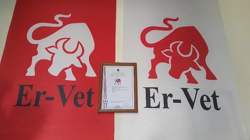 ERVET ECZA DEPOSU foto 2