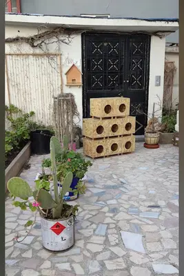 Kedi Kulübesi