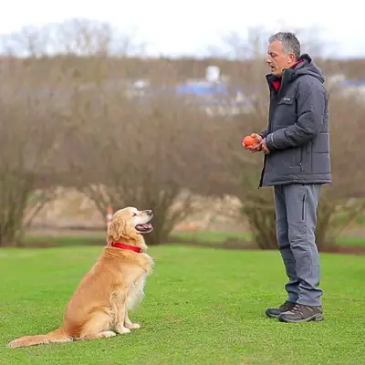 Pet Services İş ve Spor Köpekleri Eğitim Merkezi fotoğrafı