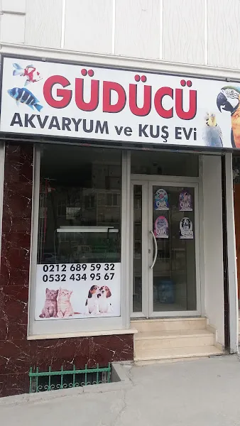 Güdücü Akvaryum ve Kuş Evi foto 1