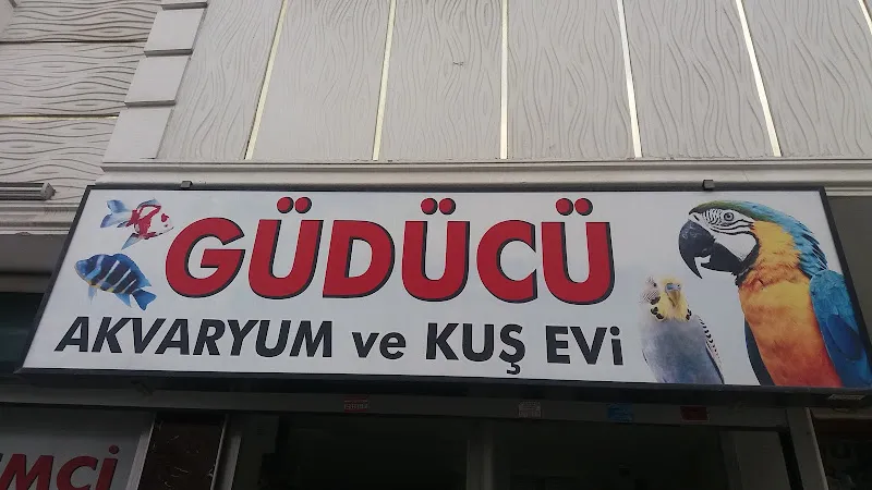 Güdücü Akvaryum ve Kuş Evi foto 2