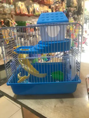 TWEETY PETSHOP