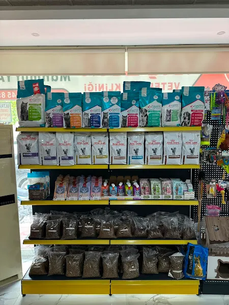 Yaşlar Veteriner Kliniği foto 2