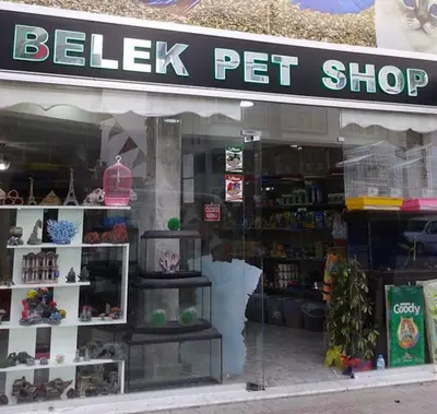 Belek Petshop
