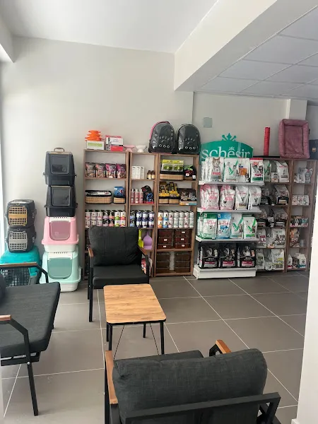 Zonguldak Albus Veteriner Kliniği foto 1