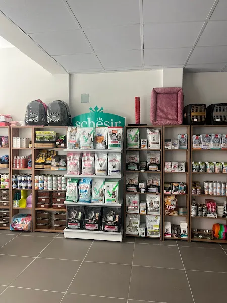 Zonguldak Albus Veteriner Kliniği foto 2