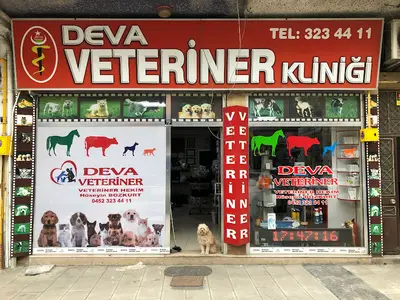 DEVA VETERİNER KLİNİĞİ - ÜNYE