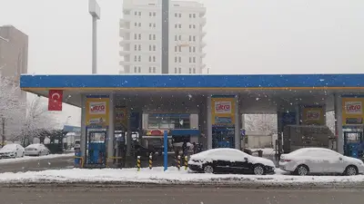 Renk Akvaryum