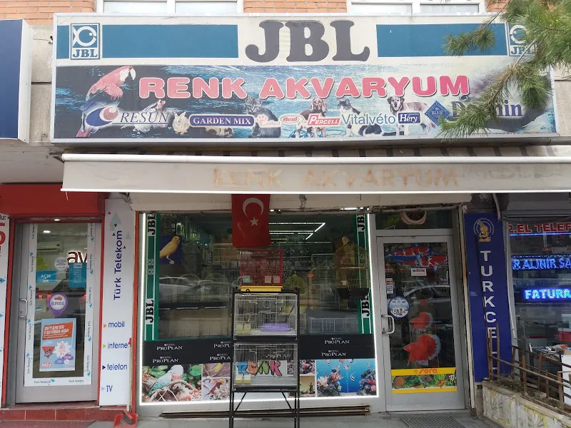 Renk Akvaryum foto 2