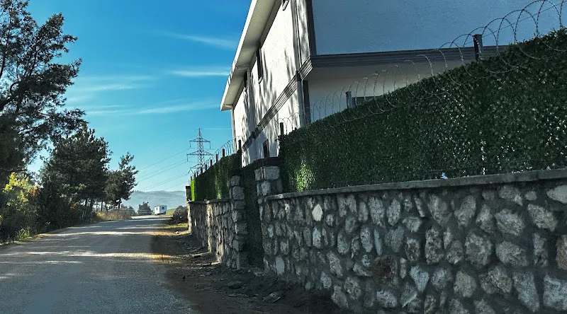 Burda Büyükşehir hayvan kısırlaştırma ve barınağı foto 2