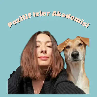 Pozitif İzler Akademisi fotoğrafı