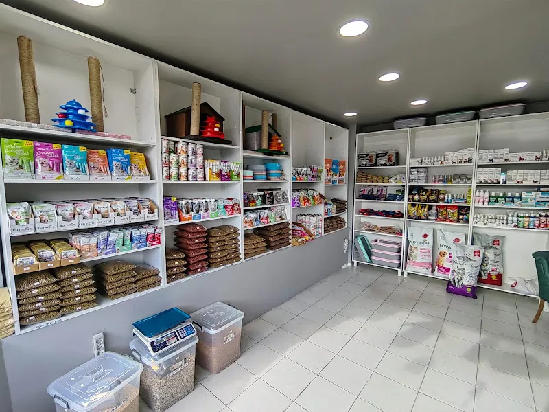 pati petshop foto 2