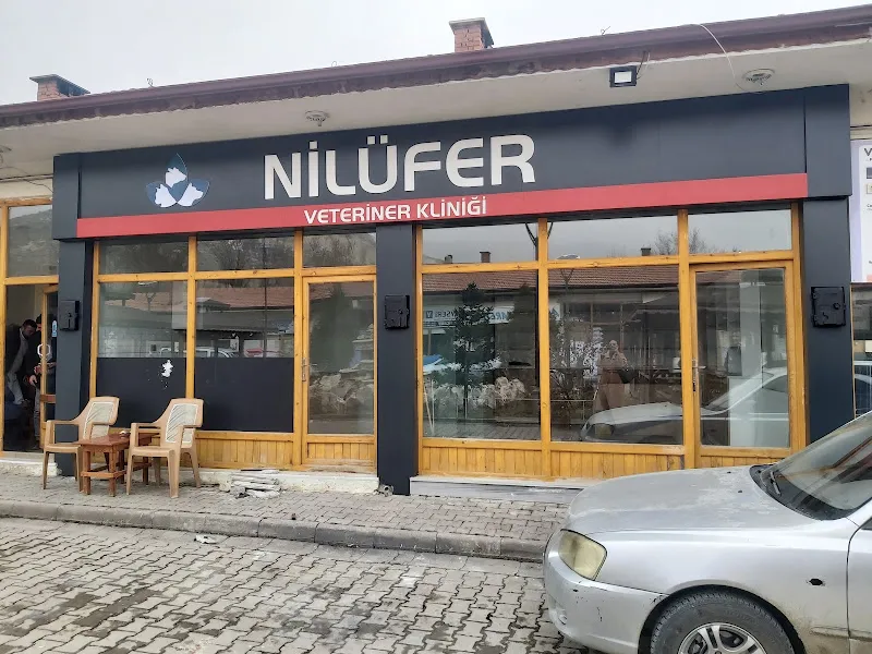 NİLÜFER VETERİNER KLİNİĞİ foto 1