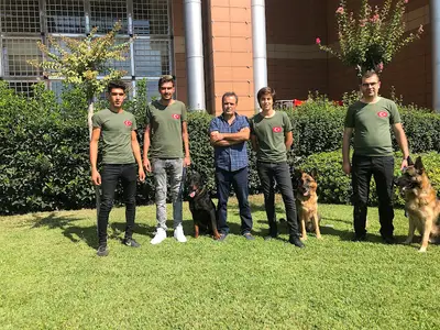 Sweet Kennel Sercan Kalafat Köpek Eğitimi -Pansiyon-Üretim fotoğrafı