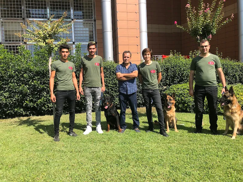 Sweet Kennel Sercan Kalafat Köpek Eğitimi -Pansiyon-Üretim foto 1