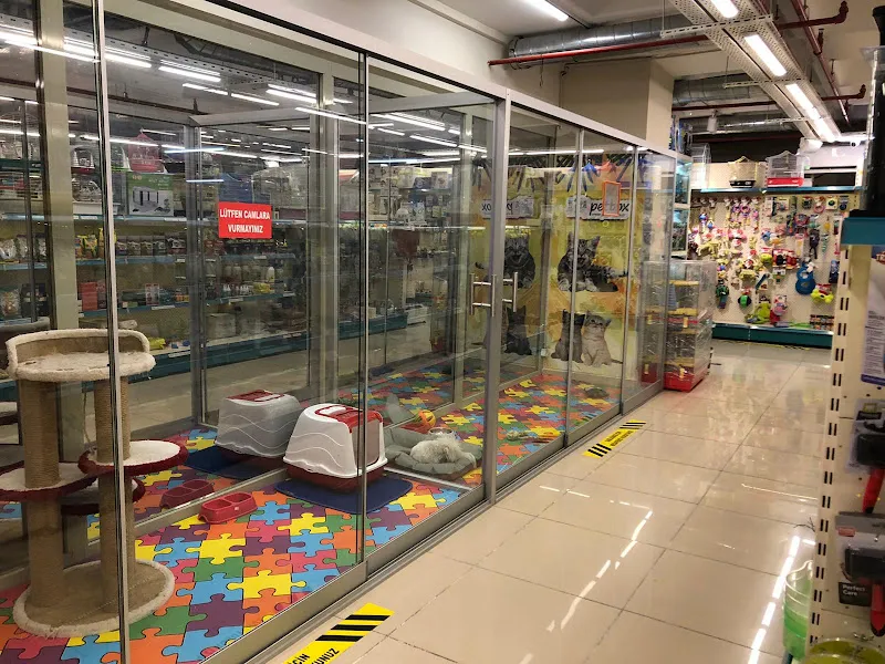 Capacity PetBox Petshop foto 2