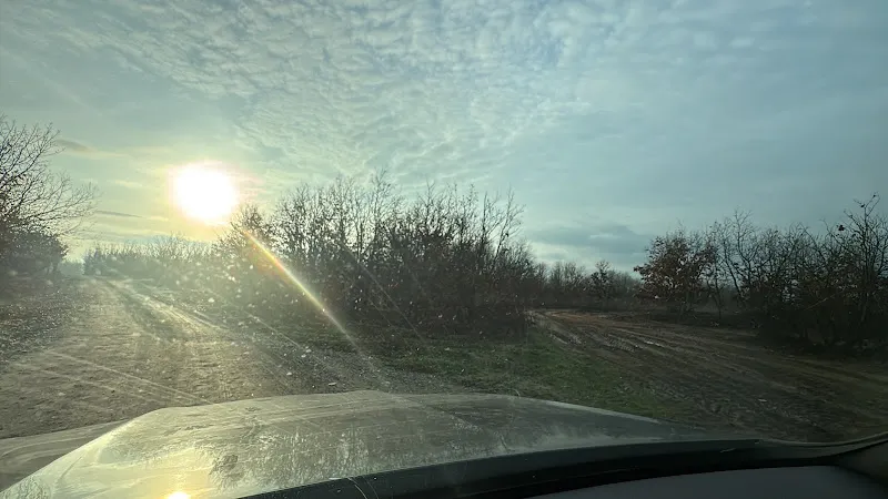 Kapaklı Yeni Hayvan Barınağı foto 2