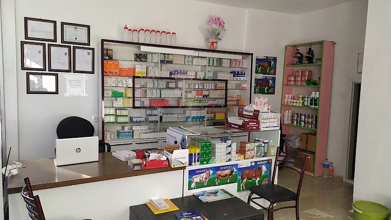 Zela Veteriner Kliniği foto 2