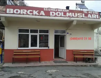 Borçka Dolmuş Durağı