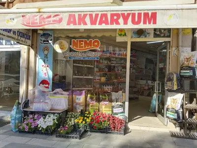 Uğur Petshop