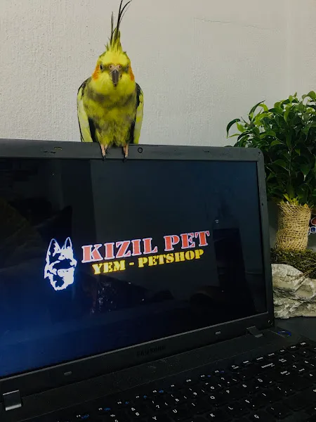 Çiğli Petshop Kızılpet Yem foto 1