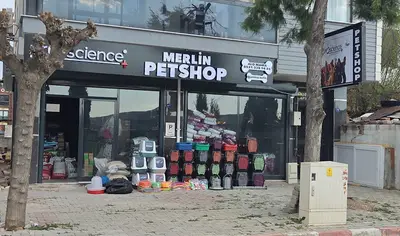 Merlin Petshop