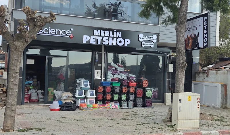 Merlin Petshop foto 1