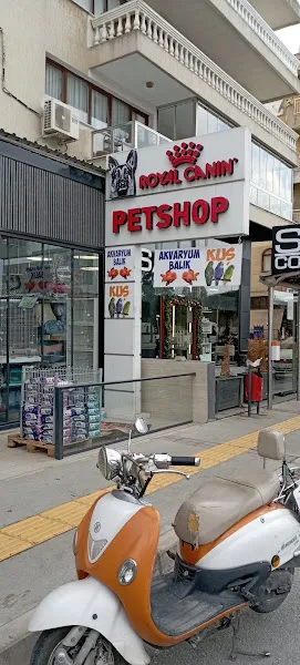 Pet Vera foto 1