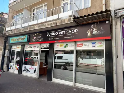 Lutino Pet Shop 2