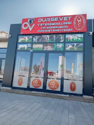 DURSEVET VETERİNER KLİNİĞİ