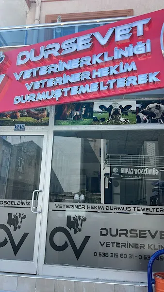 DURSEVET VETERİNER KLİNİĞİ foto 2