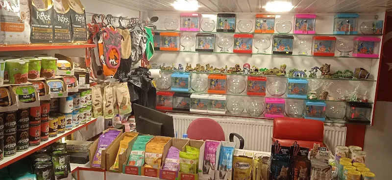 Pati Petshop foto 2