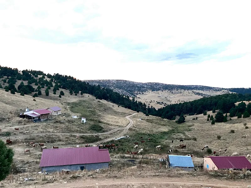 HALİL ÇAVUŞ YURDU KURANLAR HAYVANCILIK foto 2